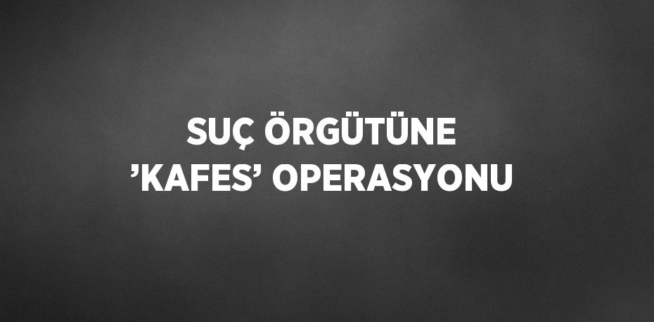 SUÇ ÖRGÜTÜNE ’KAFES’ OPERASYONU