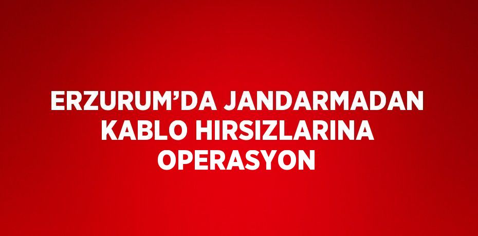 ERZURUM’DA JANDARMADAN KABLO HIRSIZLARINA OPERASYON