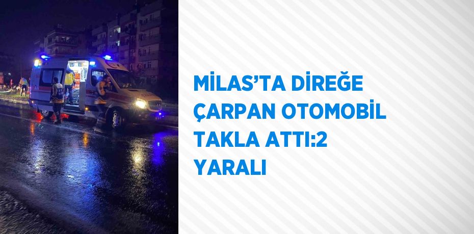 MİLAS’TA DİREĞE ÇARPAN OTOMOBİL TAKLA ATTI:2 YARALI