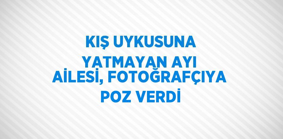 KIŞ UYKUSUNA YATMAYAN AYI AİLESİ, FOTOĞRAFÇIYA POZ VERDİ