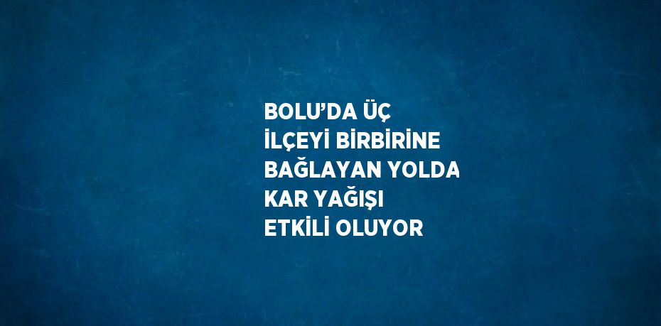 BOLU’DA ÜÇ İLÇEYİ BİRBİRİNE BAĞLAYAN YOLDA KAR YAĞIŞI ETKİLİ OLUYOR