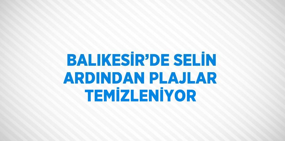 BALIKESİR’DE SELİN ARDINDAN PLAJLAR TEMİZLENİYOR