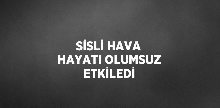 SİSLİ HAVA HAYATI OLUMSUZ ETKİLEDİ