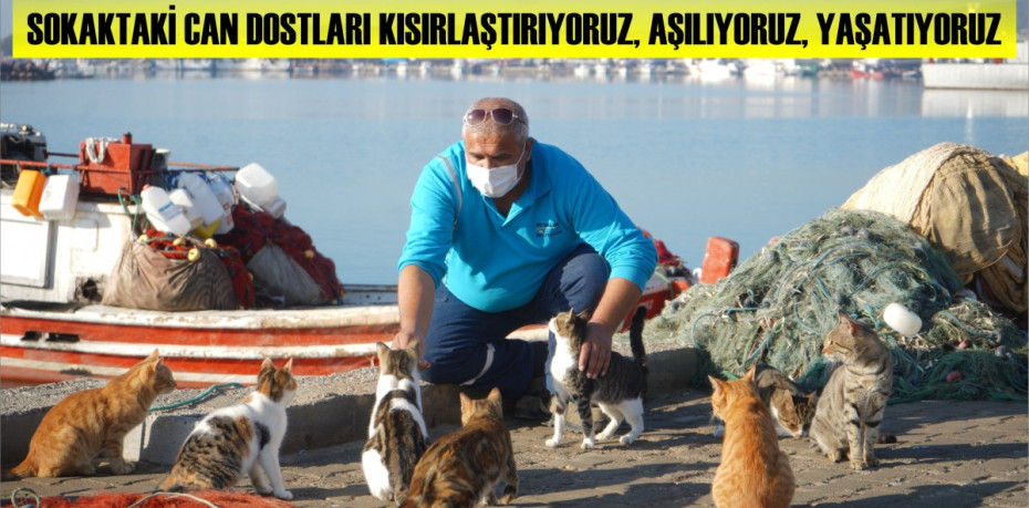 SOKAKTAKİ CAN DOSTLARI KISIRLAŞTIRIYORUZ, AŞILIYORUZ, YAŞATIYORUZ