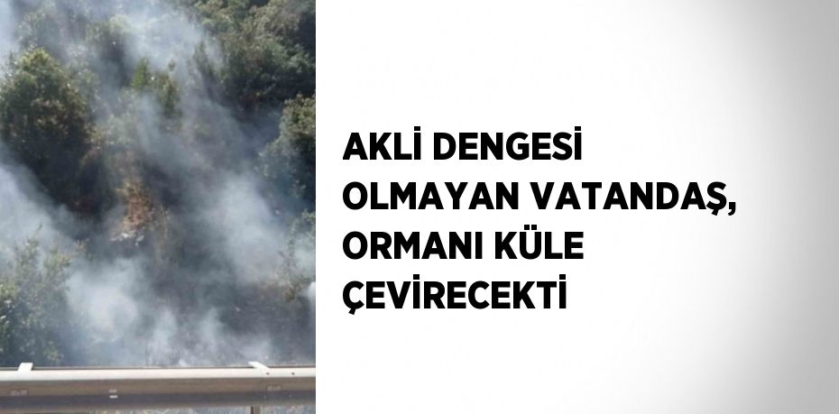 AKLİ DENGESİ OLMAYAN VATANDAŞ, ORMANI KÜLE ÇEVİRECEKTİ