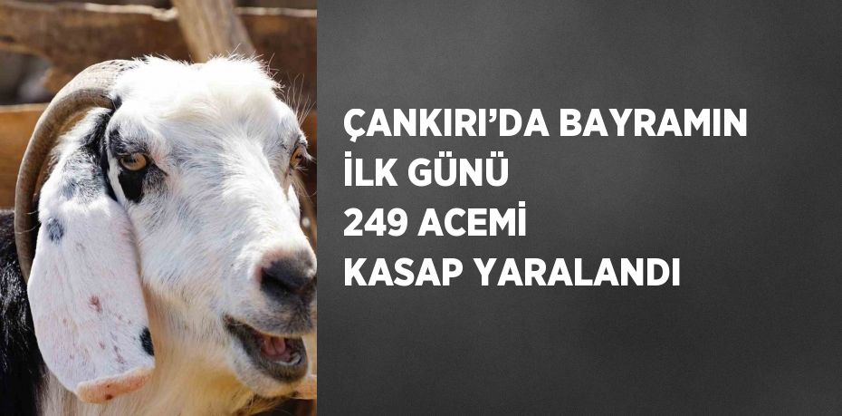 ÇANKIRI’DA BAYRAMIN İLK GÜNÜ 249 ACEMİ KASAP YARALANDI