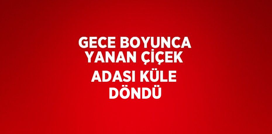 GECE BOYUNCA YANAN ÇİÇEK ADASI KÜLE DÖNDÜ