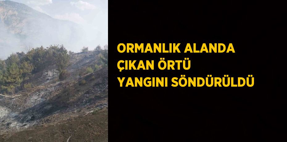 ORMANLIK ALANDA ÇIKAN ÖRTÜ YANGINI SÖNDÜRÜLDÜ