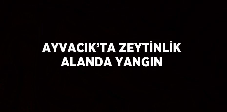 AYVACIK’TA ZEYTİNLİK ALANDA YANGIN