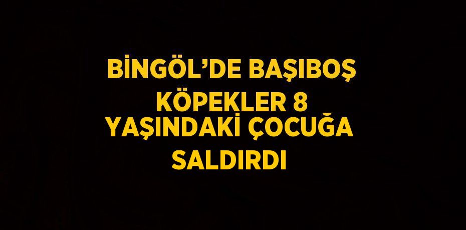 BİNGÖL’DE BAŞIBOŞ KÖPEKLER 8 YAŞINDAKİ ÇOCUĞA SALDIRDI