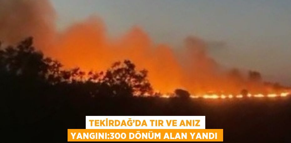 TEKİRDAĞ’DA TIR VE ANIZ YANGINI:300 DÖNÜM ALAN YANDI