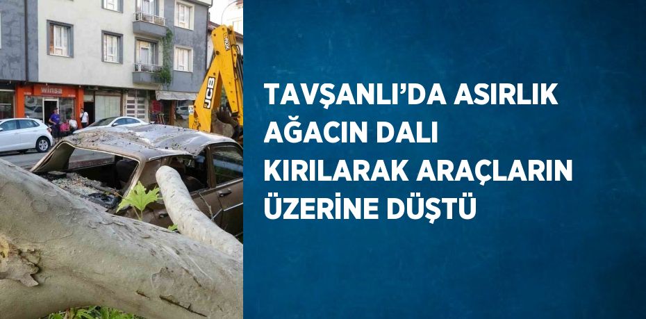 TAVŞANLI’DA ASIRLIK AĞACIN DALI KIRILARAK ARAÇLARIN ÜZERİNE DÜŞTÜ