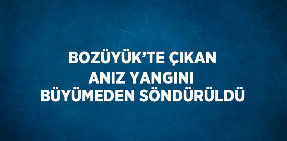 BOZÜYÜK’TE ÇIKAN ANIZ YANGINI BÜYÜMEDEN SÖNDÜRÜLDÜ