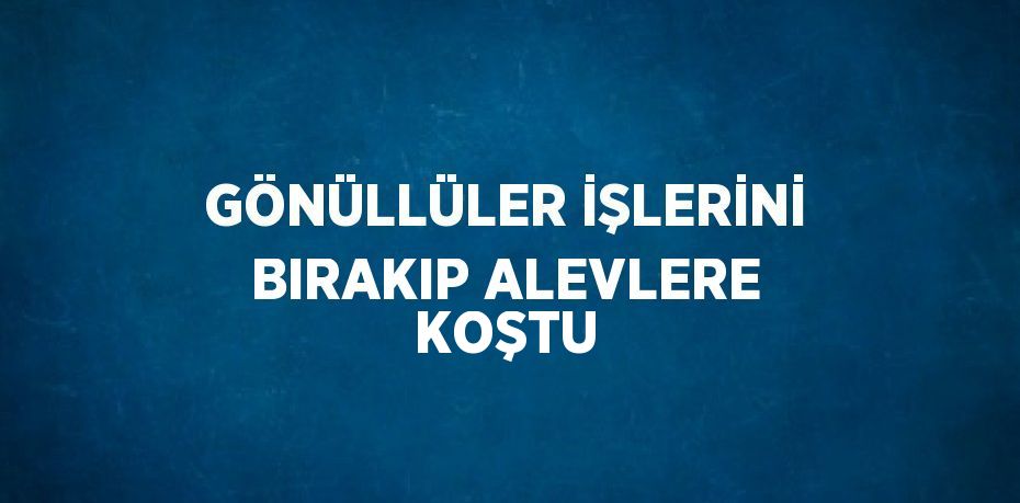 GÖNÜLLÜLER İŞLERİNİ BIRAKIP ALEVLERE KOŞTU