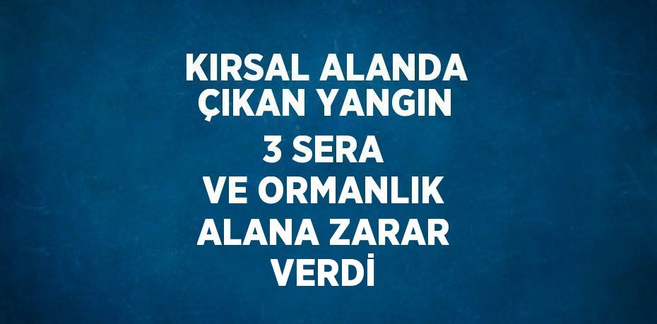 KIRSAL ALANDA ÇIKAN YANGIN 3 SERA VE ORMANLIK ALANA ZARAR VERDİ