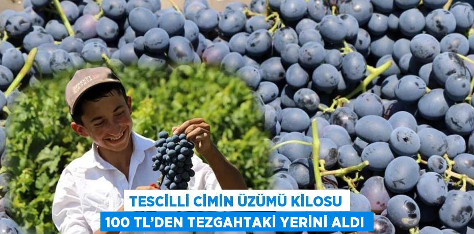 TESCİLLİ CİMİN ÜZÜMÜ KİLOSU 100 TL’DEN TEZGAHTAKİ YERİNİ ALDI