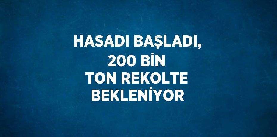 HASADI BAŞLADI, 200 BİN TON REKOLTE BEKLENİYOR