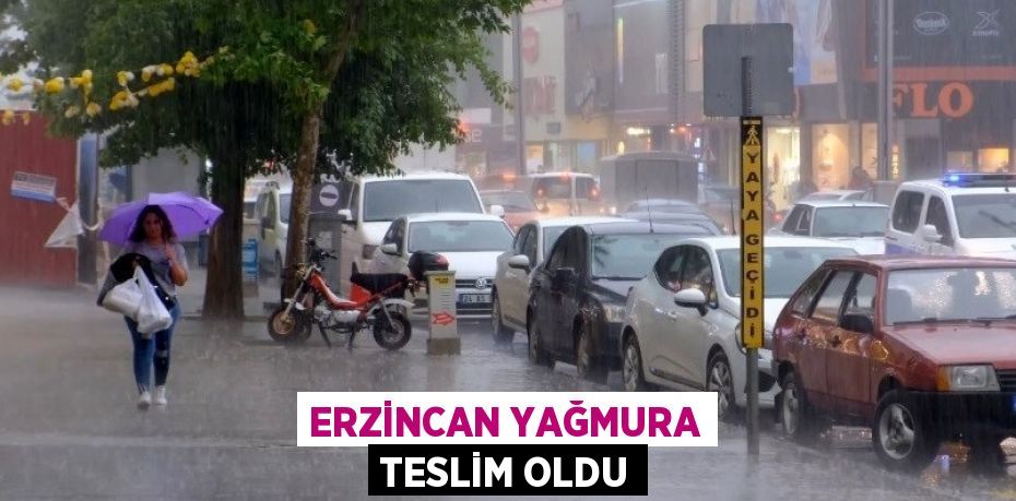 ERZİNCAN YAĞMURA TESLİM OLDU