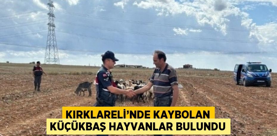 KIRKLARELİ’NDE KAYBOLAN KÜÇÜKBAŞ HAYVANLAR BULUNDU