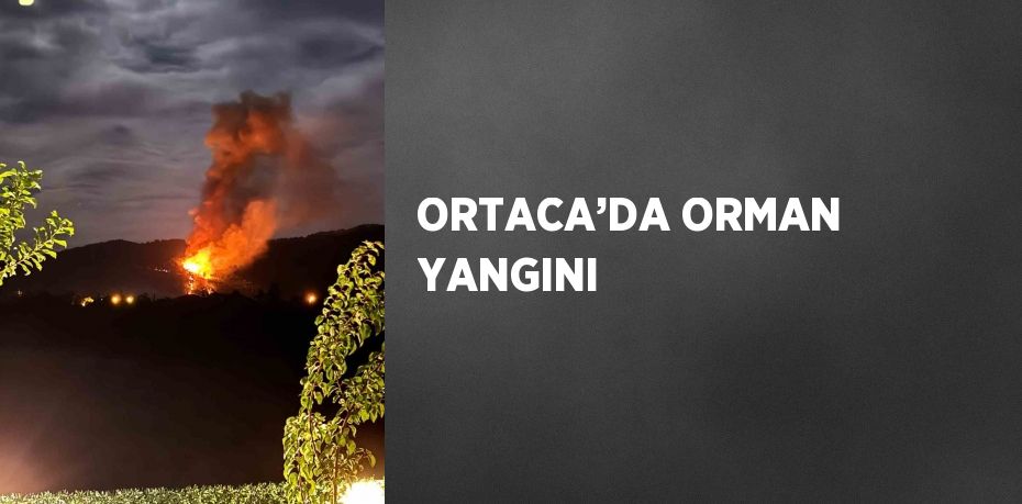 ORTACA’DA ORMAN YANGINI