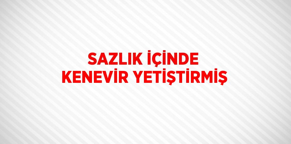 SAZLIK İÇİNDE KENEVİR YETİŞTİRMİŞ