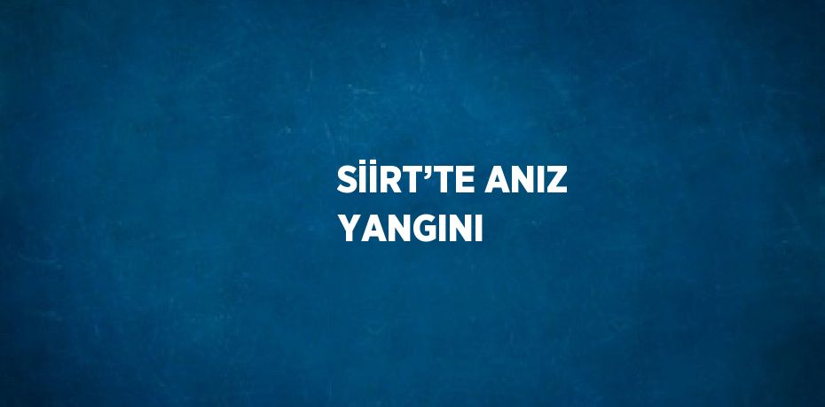 SİİRT’TE ANIZ YANGINI