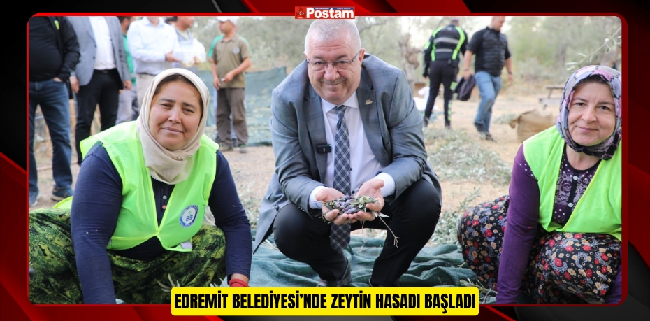 EDREMİT BELEDİYESİ’NDE ZEYTİN HASADI BAŞLADI