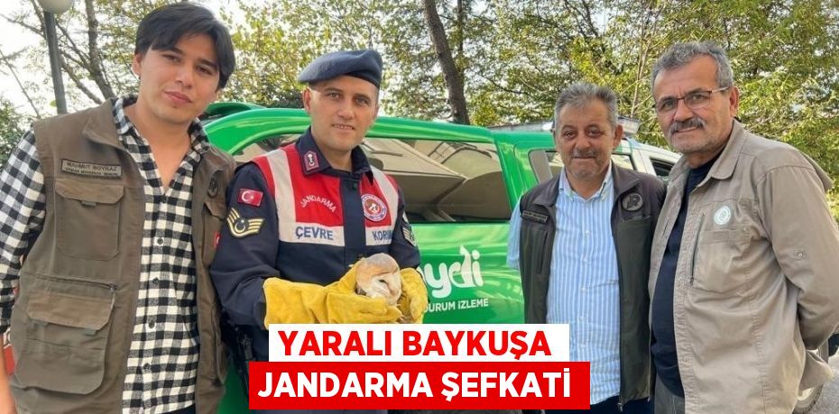 YARALI BAYKUŞA JANDARMA ŞEFKATİ