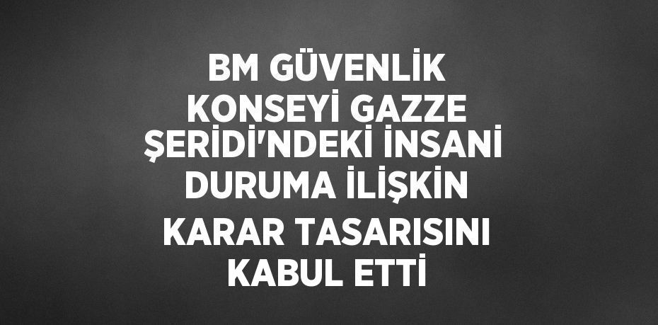 BM GÜVENLİK KONSEYİ GAZZE ŞERİDİ’NDEKİ İNSANİ DURUMA İLİŞKİN KARAR TASARISINI KABUL ETTİ