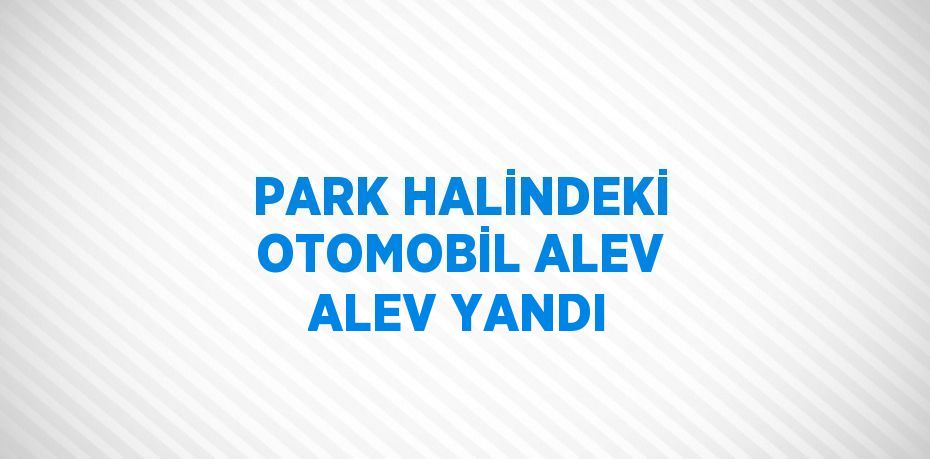 PARK HALİNDEKİ OTOMOBİL ALEV ALEV YANDI