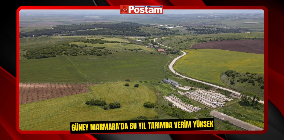 Güney Marmara’da bu yıl tarımda verim yüksek