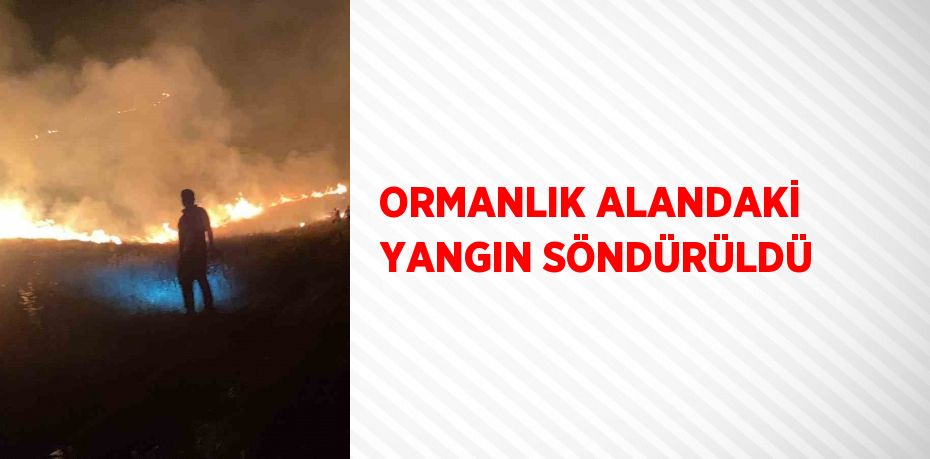 ORMANLIK ALANDAKİ YANGIN SÖNDÜRÜLDÜ