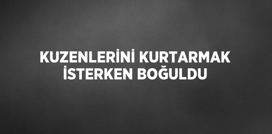 KUZENLERİNİ KURTARMAK İSTERKEN BOĞULDU