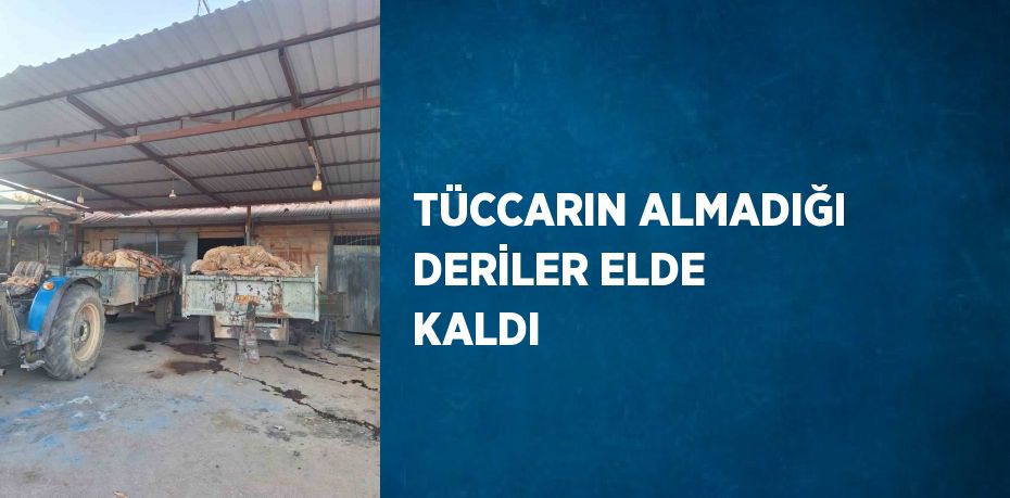 TÜCCARIN ALMADIĞI DERİLER ELDE KALDI