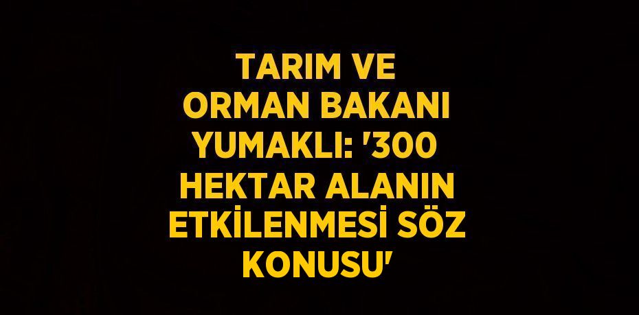 TARIM VE ORMAN BAKANI YUMAKLI: '300 HEKTAR ALANIN ETKİLENMESİ SÖZ KONUSU'