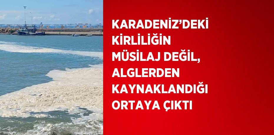 KARADENİZ’DEKİ KİRLİLİĞİN MÜSİLAJ DEĞİL, ALGLERDEN KAYNAKLANDIĞI ORTAYA ÇIKTI