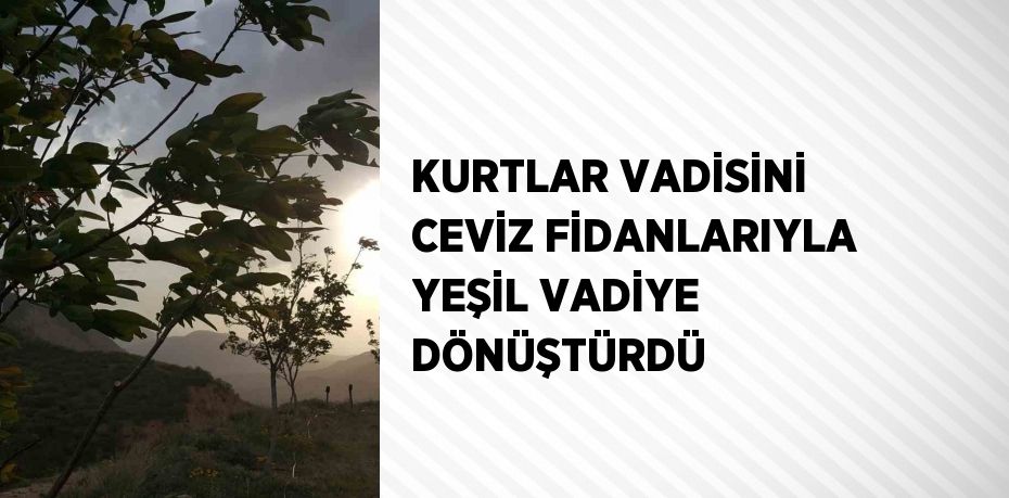 KURTLAR VADİSİNİ CEVİZ FİDANLARIYLA YEŞİL VADİYE DÖNÜŞTÜRDÜ