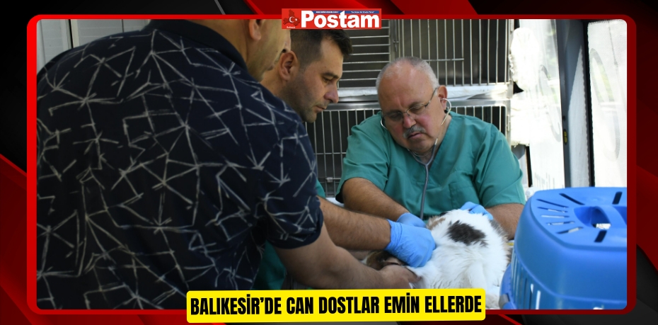 Balıkesir’de can dostlar emin ellerde