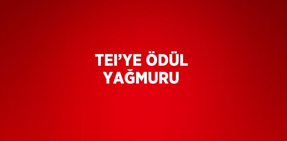 TEI’YE ÖDÜL YAĞMURU