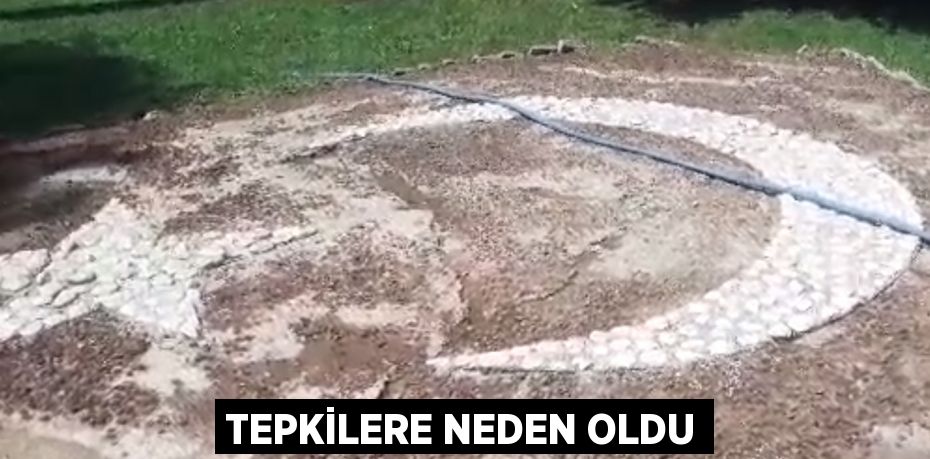 TEPKİLERE NEDEN OLDU