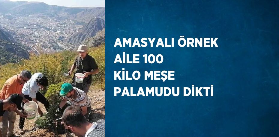 AMASYALI ÖRNEK AİLE 100 KİLO MEŞE PALAMUDU DİKTİ