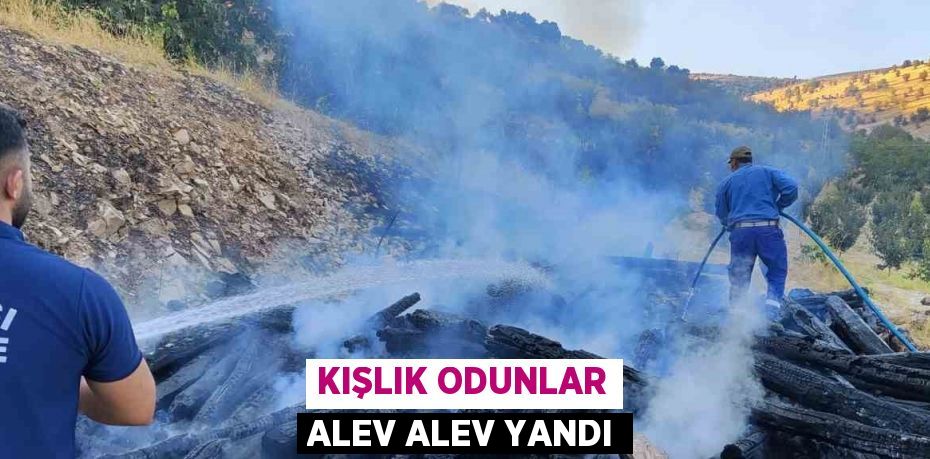 KIŞLIK ODUNLAR ALEV ALEV YANDI