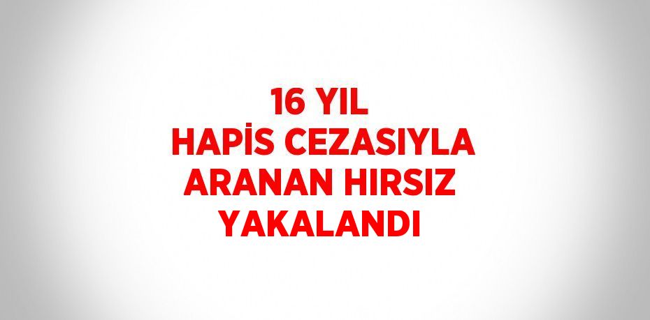 16 YIL HAPİS CEZASIYLA ARANAN HIRSIZ YAKALANDI