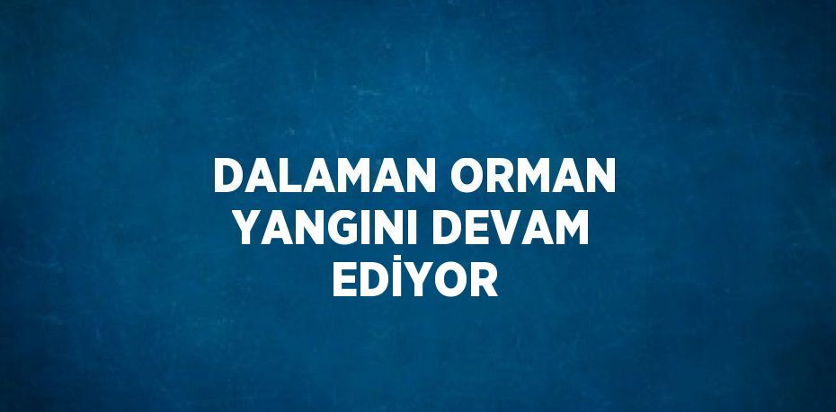 DALAMAN ORMAN YANGINI DEVAM EDİYOR