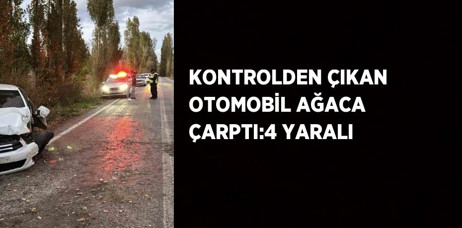 KONTROLDEN ÇIKAN OTOMOBİL AĞACA ÇARPTI:4 YARALI