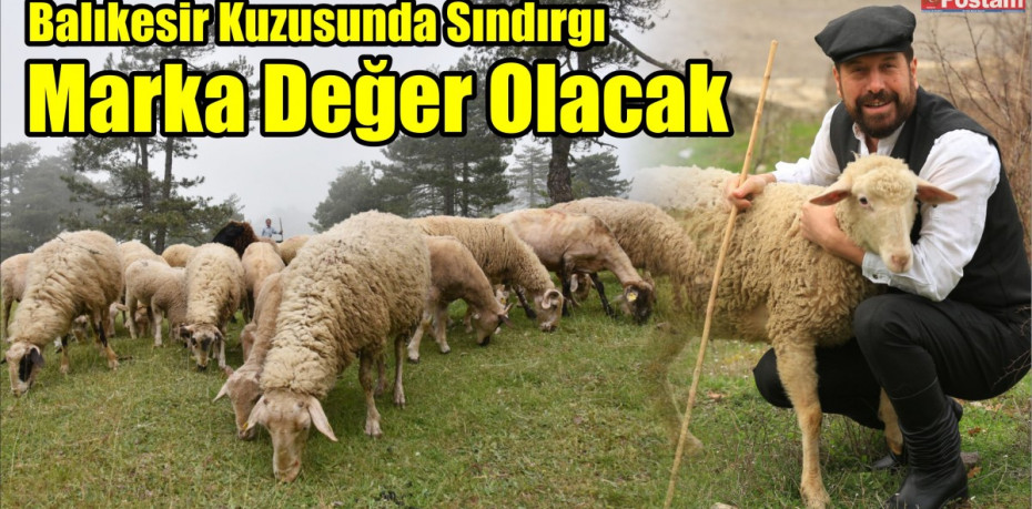 Balıkesir Kuzusunda Sındırgı Marka Değer Olacak