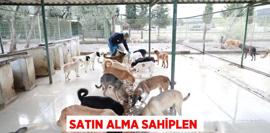 Satın Alma Sahiplen