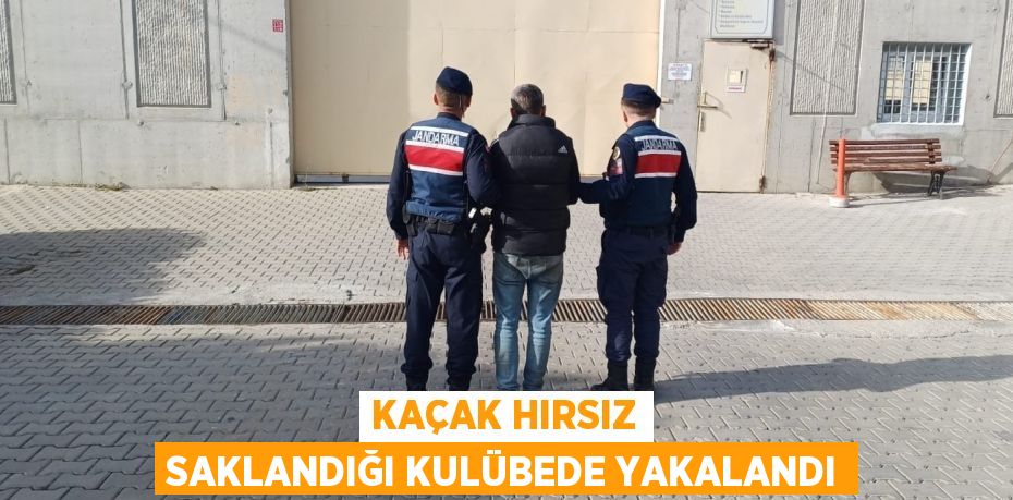 Kaçak hırsız saklandığı kulübede yakalandı