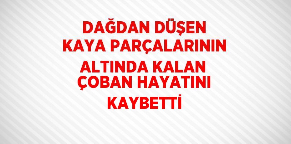 DAĞDAN DÜŞEN KAYA PARÇALARININ ALTINDA KALAN ÇOBAN HAYATINI KAYBETTİ