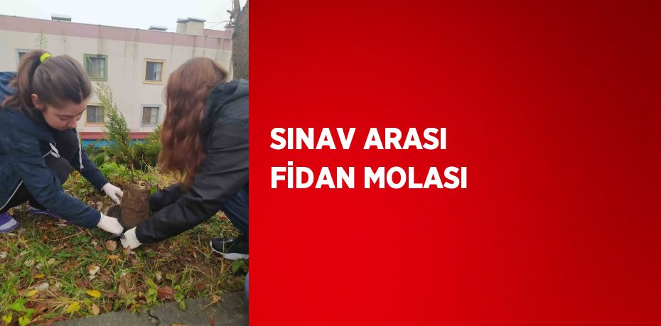 SINAV ARASI FİDAN MOLASI